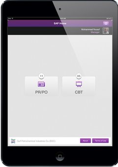 SAP_HOME